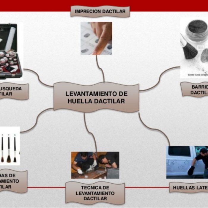 Dactiloscopia y Rastros