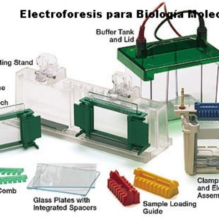 Laboratorio Criminalístico