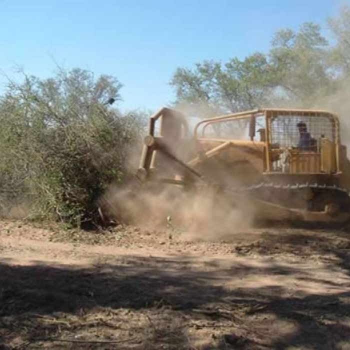 Perjuicio Ecológico