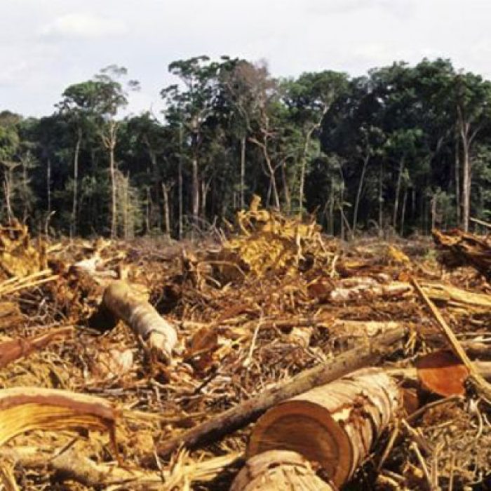 Perjuicio Ecológico