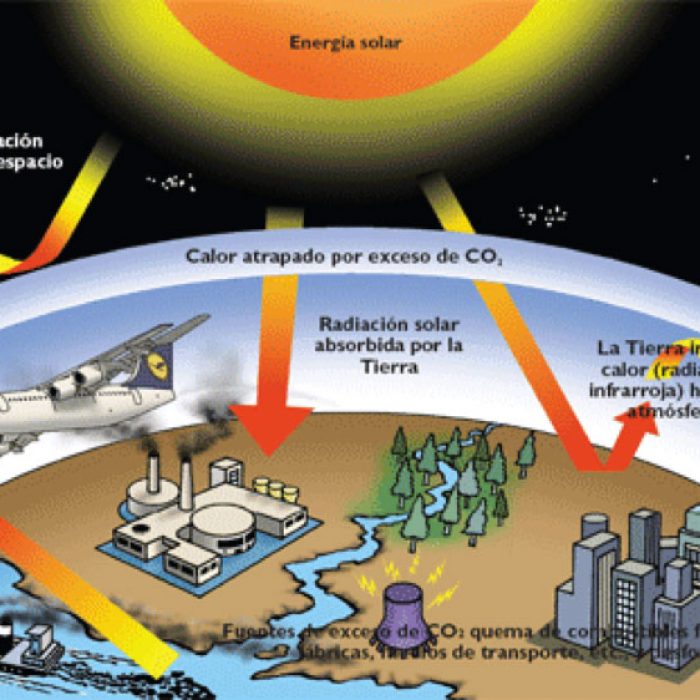 Perjuicio Ecológico