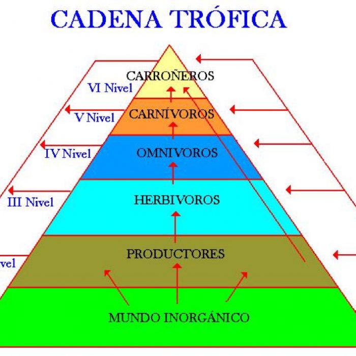 Perjuicio Ecológico