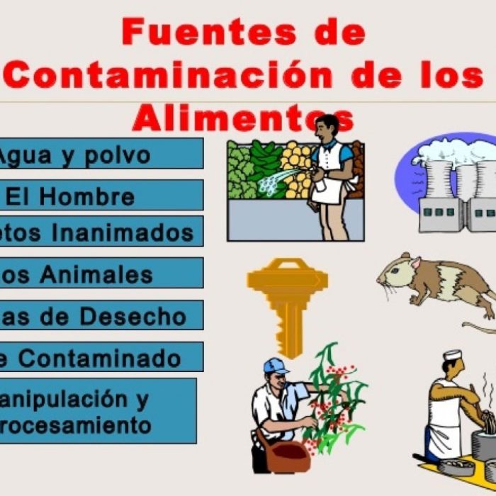 Toxicología Forense