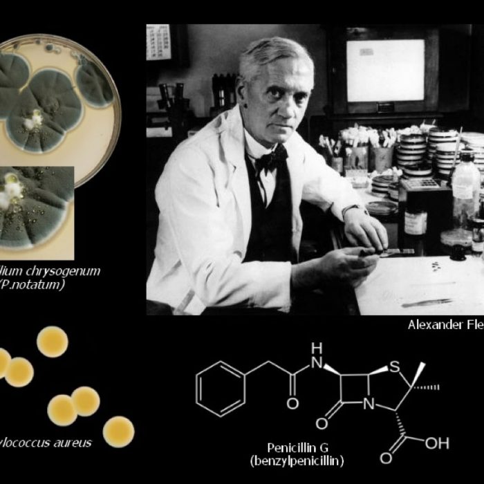 Toxicología Forense